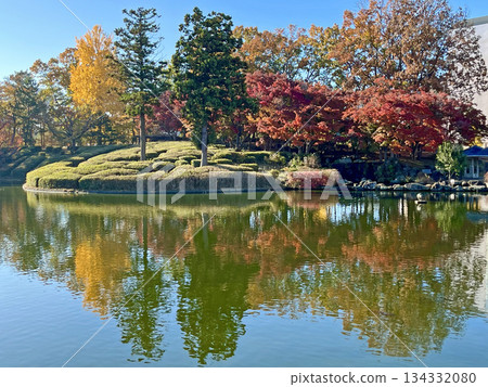 Scenery of a park with a pond Scenery of a park with a pond 134332080