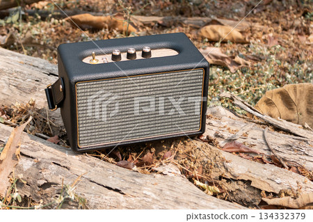 Portable wireless speaker for listening music, Vintage speakers Portable wireless speaker for listening music, Vintage speakers 134332379