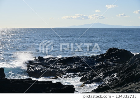 Jogashima Park, Cape Awazaki, and the Sea in December [Miura City, Kanagawa Prefecture] 134332735