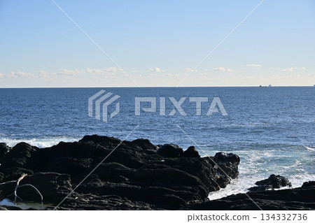 Jogashima Park, Cape Awazaki, and the Sea in December [Miura City, Kanagawa Prefecture] 134332736