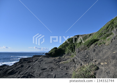 Jogashima Park, Cape Awazaki, and the Sea in December [Miura City, Kanagawa Prefecture] 134332744