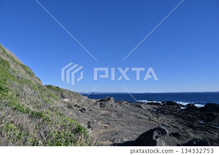 Jogashima Park, Cape Awazaki, and the Sea in December [Miura City, Kanagawa Prefecture] 134332753