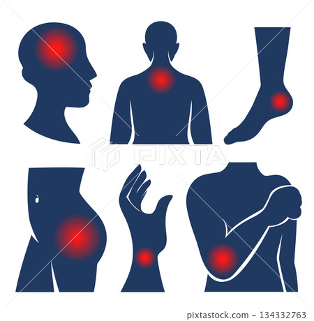 Body pain areas set vector isolated Body pain areas set vector isolated 134332763