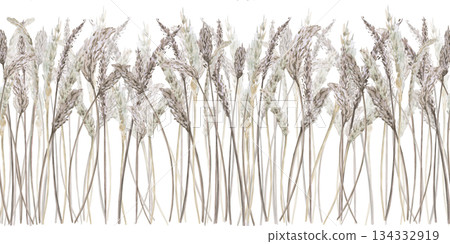 A seamless border of tall steppe grasses. Isolated watercolor illustration for interior design, environmental program websites, posters, and fabric printing. A seamless border of tall steppe grasses. Isolated watercolor illustration for interior design, environmental program websites, posters, and fabric printing. 134332919