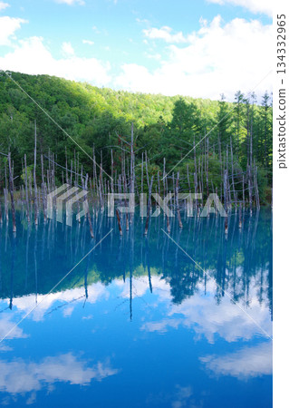 Hokkaido Biei-cho Blue pond 134332965