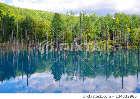 Hokkaido Biei-cho Blue pond 134332966