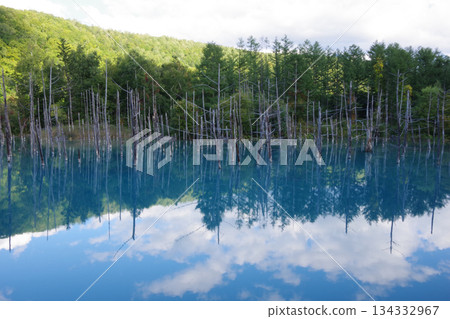 北海道美瑛町藍塘 134332967