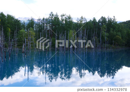 Hokkaido Biei-cho Blue pond 134332978