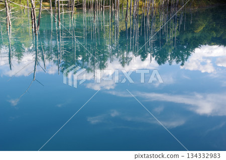 Blue sky reflected in the Blue Pond in Biei, Hokkaido 134332983