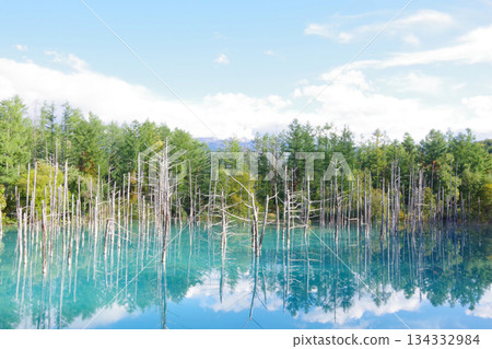 Hokkaido Biei-cho Blue pond 134332984