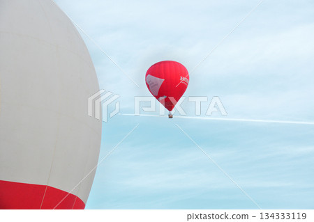 Hot air balloon · balloon 134333119