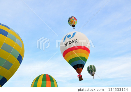 Hot air balloon · balloon 134333124