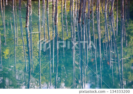 北海道美瑛町藍塘 134333200