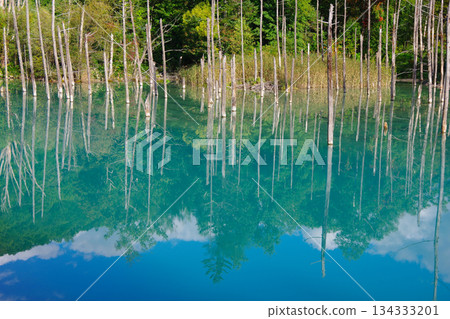 北海道美瑛町藍塘 134333201