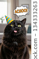 Black cat head wearing a party hat 134333263