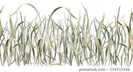 Seamless green grass border. Isolated watercolor illustration for interior design, eco-friendly websites, posters, and fabric printing. Seamless green grass border. Isolated watercolor illustration for interior design, eco-friendly websites, posters, and fabric printing. 134333846