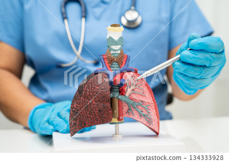 Cirrhosis, Liver cancer, fatty liver, Asian woman with liver human anatomy model. 134333928