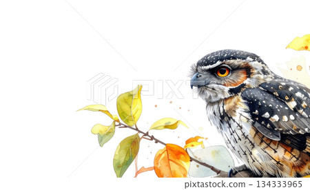 Colorful birds on watercolor branches isolated on white background Colorful birds on watercolor branches isolated on white background 134333965
