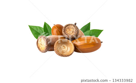 Autumn set of acorns, leaves, isolated on white background. Autumn set of acorns, leaves, isolated on white background. 134333982