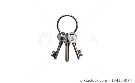 Old key chain on a ring, isolated on a white background. Old key chain on a ring, isolated on a white background. 134334074