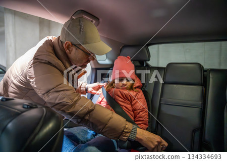 Man fastening seatbelt for daughter in the back seat of a car. Safety measures and responsible parenting. 134334693