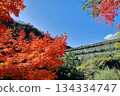 Autumn leaves and Nunobiki Gohonmatsu Dam 134334747