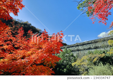 秋葉與布引五本松水壩 134334747