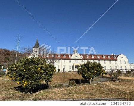 Church that shines in the blue sky 134334753