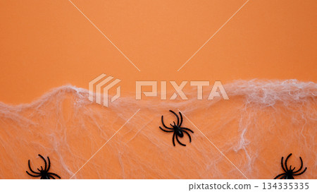 Halloween decoration. Spiderwebs and spiders on orange background Halloween decoration. Spiderwebs and spiders on orange background 134335335
