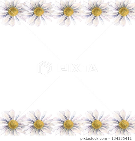 Square frame with chrysanthemums. Hand-painted watercolor botanical illustration isolated on white background for invitations, branding, packaging, cards, wedding design, elegant botanical projects Square frame with chrysanthemums. Hand-painted watercolor botanical illustration isolated on white background for invitations, branding, packaging, cards, wedding design, elegant botanical projects 134335411