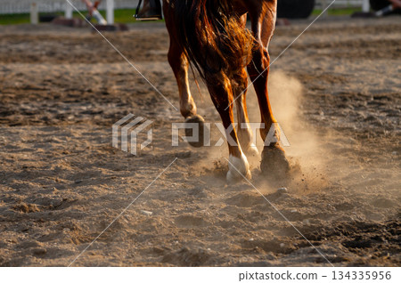 A close-up of a racing horse's hoof in an earthen arena. Equestrian sport background concept 134335956