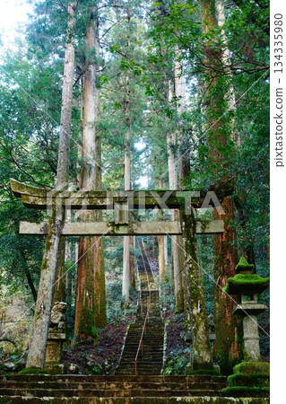 Taki Shrine 134335980