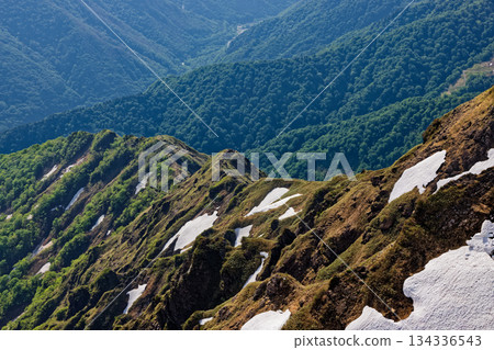 從谷川山眺望西黑嶺，可見殘雪。 134336543