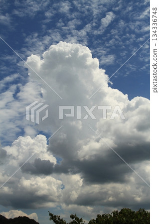 Summer blue sky and white clouds 134336748