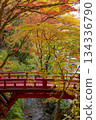旅海山橫造寺的秋葉 134336790