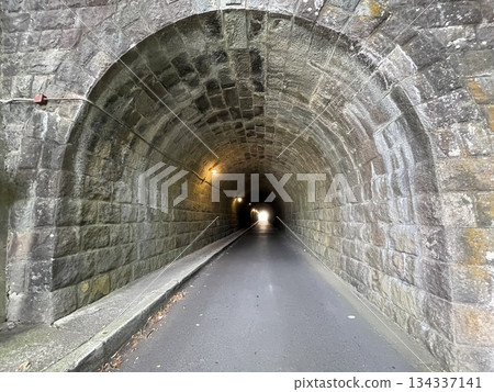 康教道隧道：一條復古隧道，一座可追溯至1910年的歷史建築。 134337141
