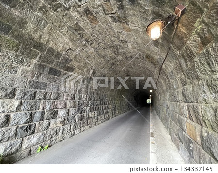 康教道隧道:一條復古隧道,一座可追溯至1910年的歷史建築。 康教道隧道:一條復古隧道,一座可追溯至1910年的歷史建築。 134337145