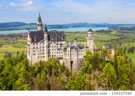 Neuschwanstein Castle in the Bavarian Alps, Germany 134337595