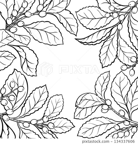 Yerba Mate Branch Outline Frame. 134337606