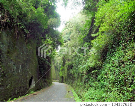 Iwakumayama Pass, Yamaga City, Kumamoto Prefecture 134337638