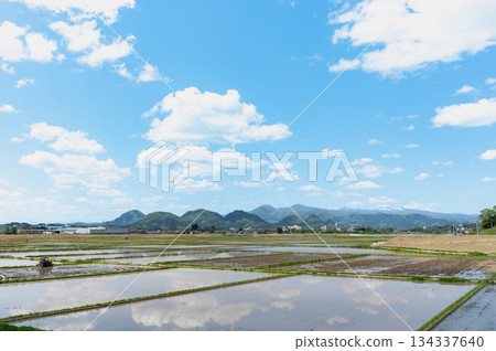 春稻田和七森 春稻田和七森 134337640