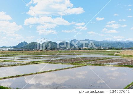 春稻田和七森 春稻田和七森 134337641