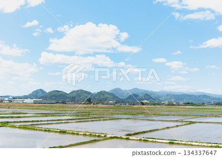 春稻田和七森 134337647