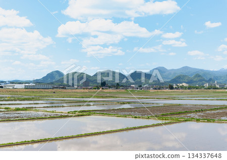 Spring rice fields and Nanatsumori Spring rice fields and Nanatsumori 134337648
