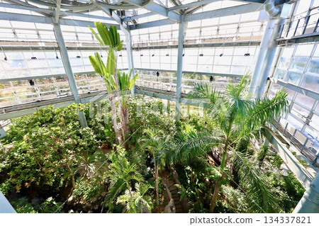 Ibaraki Botanical Garden Tropical Botanical Garden Ibaraki Botanical Garden Tropical Botanical Garden 134337821