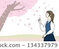 女高中生與櫻花 134337979