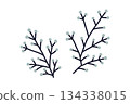 Scandinavian style simple plant branch illustration Scandinavian style simple plant branch illustration 134338015