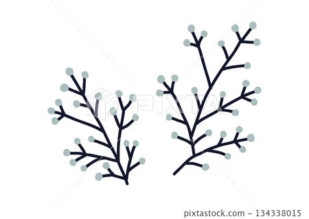 北歐風格的簡約植物枝條插圖 134338015