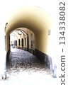 An old cobblestone passageway with an arched roof in a corner of downtown Ljubljana, Slovenia 134338082