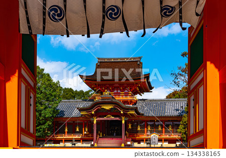 京都石清水八幡宮正殿 京都石清水八幡宮正殿 134338165